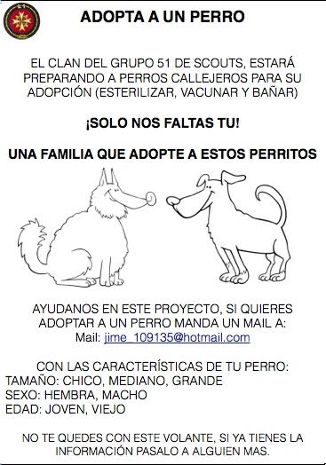 Adopción de perros callejeros