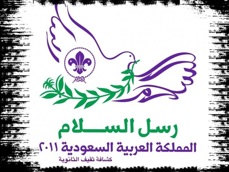 خدمة عامة ( ١ )