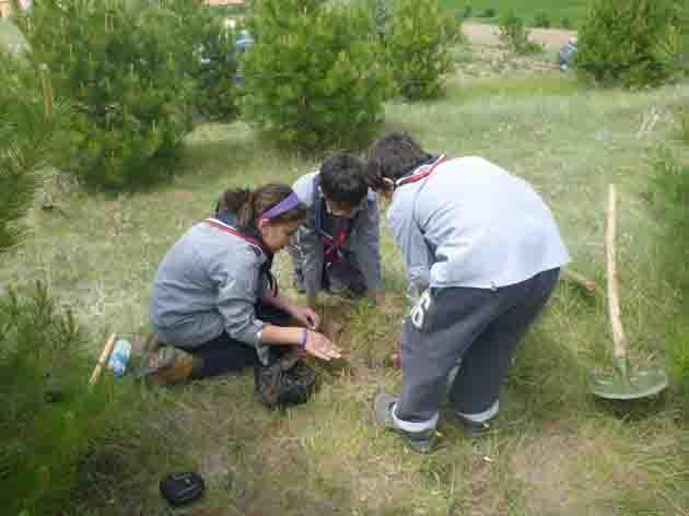TREE PLANTING AT A MEMORIAL  FOREST AS PART OF AN INTRODUCTION COURSE 