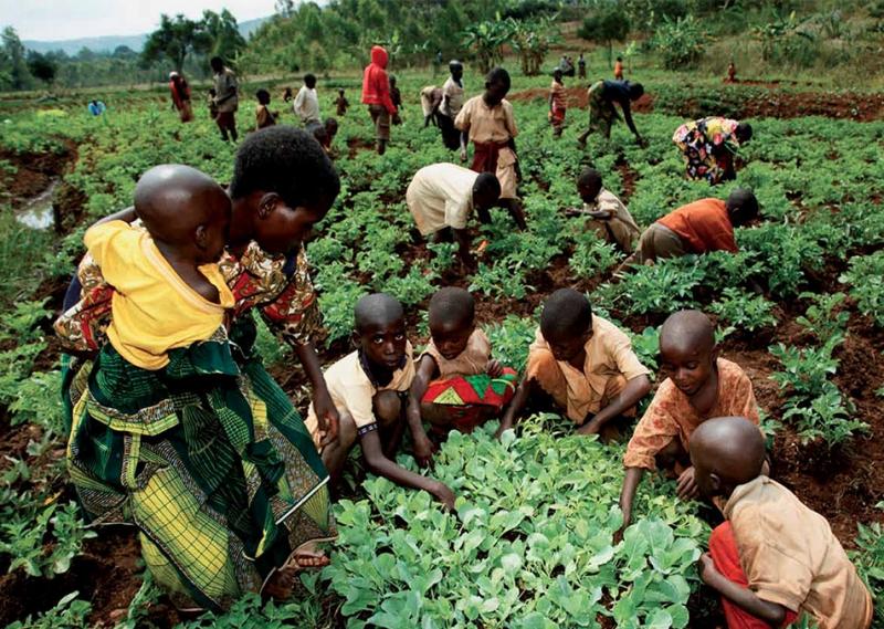 Makanan untuk Hidup - Kenya, Uganda, Burundi