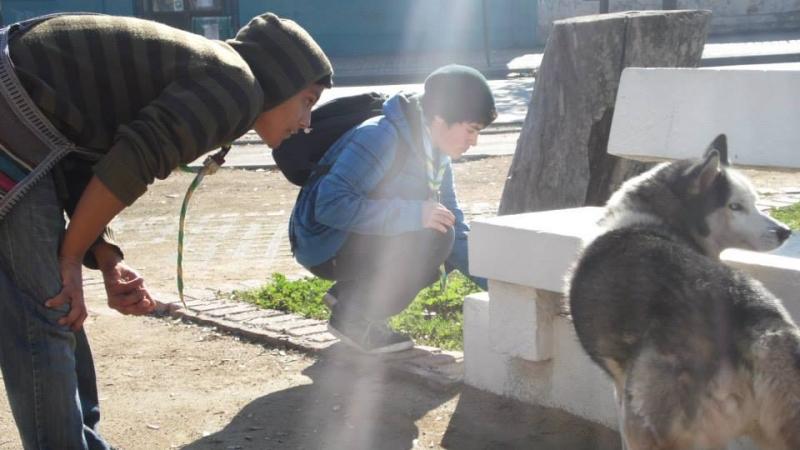 Scouts feed stray dogs in the city