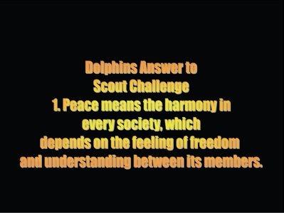 WORLD SCOUT CHALLENGE – JOTI 2008 DOLPHIN PATROL ANTALYA 