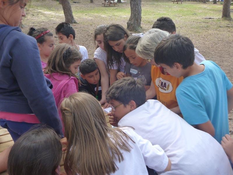 Summer school support by Ankara Scouts and NGO'a like TEMA and Aktiffelsefe Association 