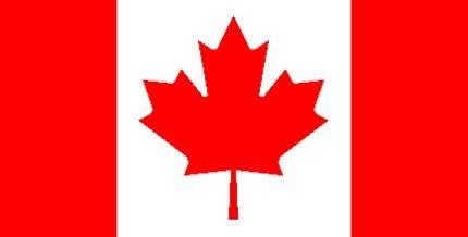 A JAMBOREE 0N THE INTERNET EXPERIENCE OF A CUB AND BROWNİE TROOP