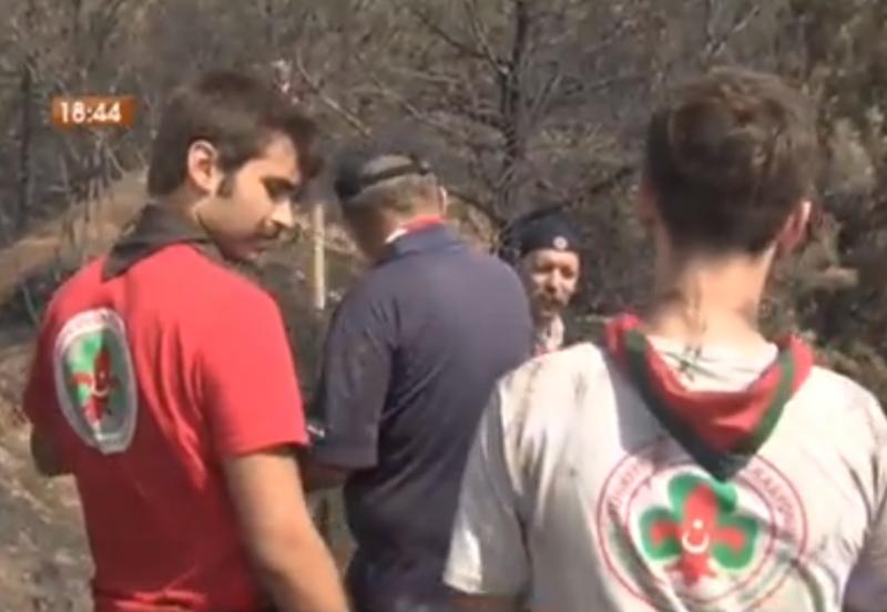 FOREST FIRE. SCOUTS HELPING TO FIREMEN 