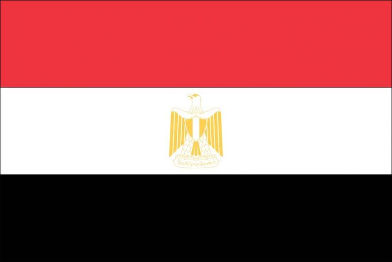 JOTA JOTI 2008 SEYYAH SCOUTS İN ACTİON