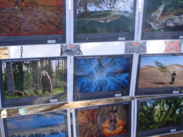 PROVİNCİAL SUMMER CAMP ANTALYA TURKEY JUNE 2011