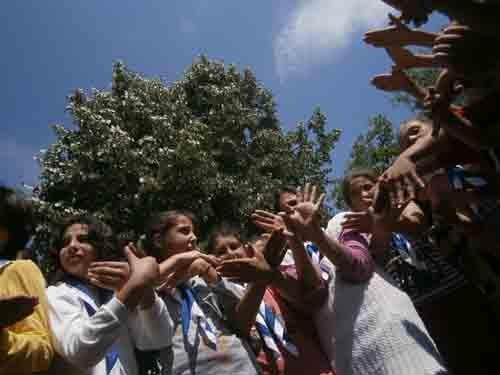 A PROVINCIAL BROWNIE AND CUB SCOUT CAMP AKSIGIN  KOCAELİ 