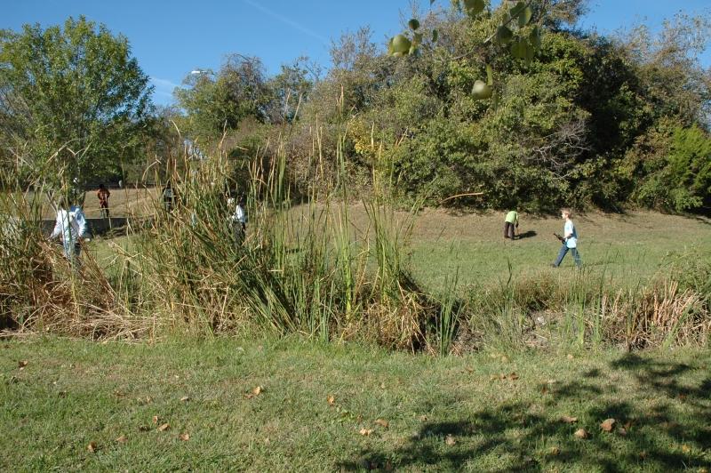 Restoring the neighborhood ecosystem