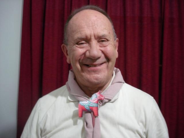 JOIN IN JAMBOREE ACTION 2011 SWEDISH  HORSE