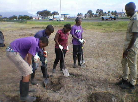 Removal of Bulrushes 