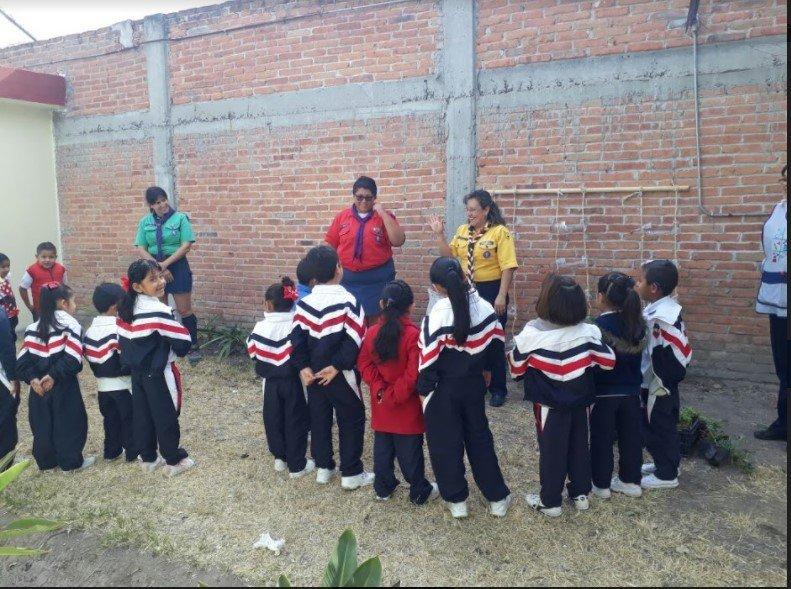 Muros verdes en la escuela
