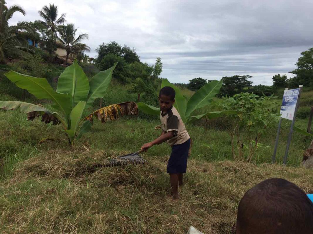 PEACE THROUGH CLEAN UP AND GARDENING