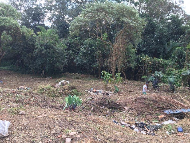 Projeto de recuperacão de área de preservação permanente degradada