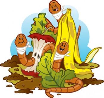 Reciclaje de material orgánico para plantas y árboles 