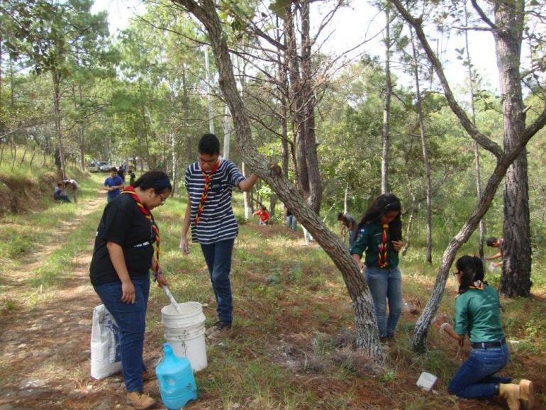 Actividad de Servicio durante Campamento de Grupo