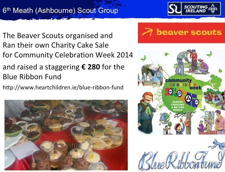 Beaver Scout Charity Cake Sale