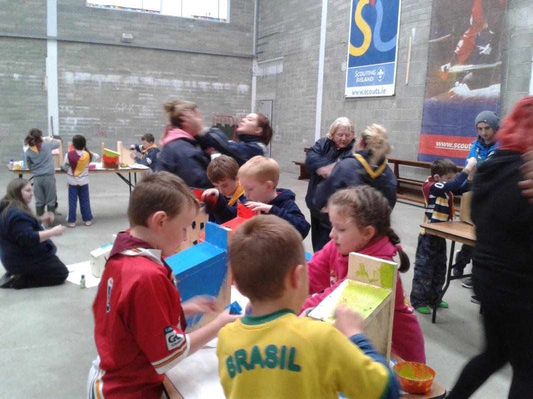 11th Cavan Killeshandra Scouts, making and hanging bird boxes in their community