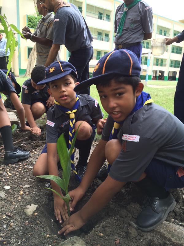 A TREE PLANTATION PROGRAM