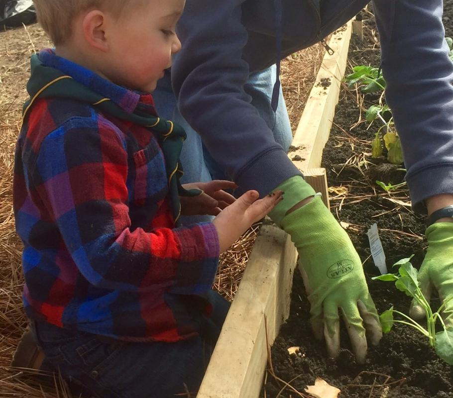 Plant Bed for Sustainability Education