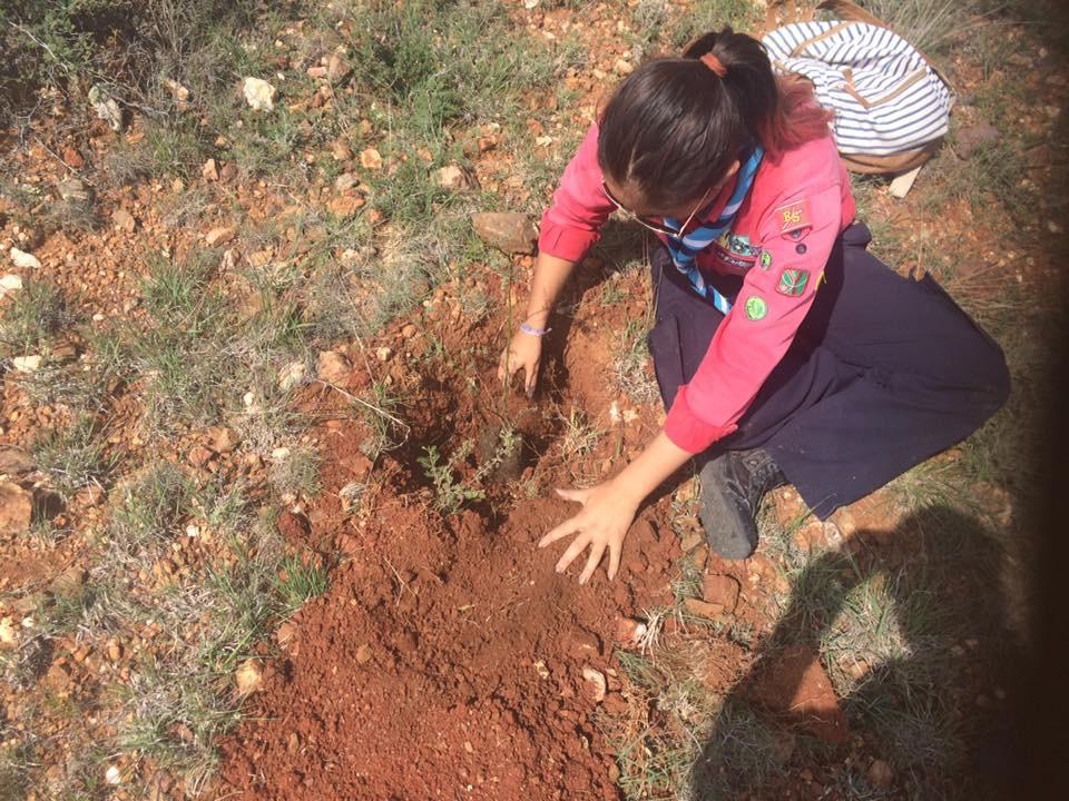 Campaña de Reforetacion parque Ciencia y Tecnlogia 
