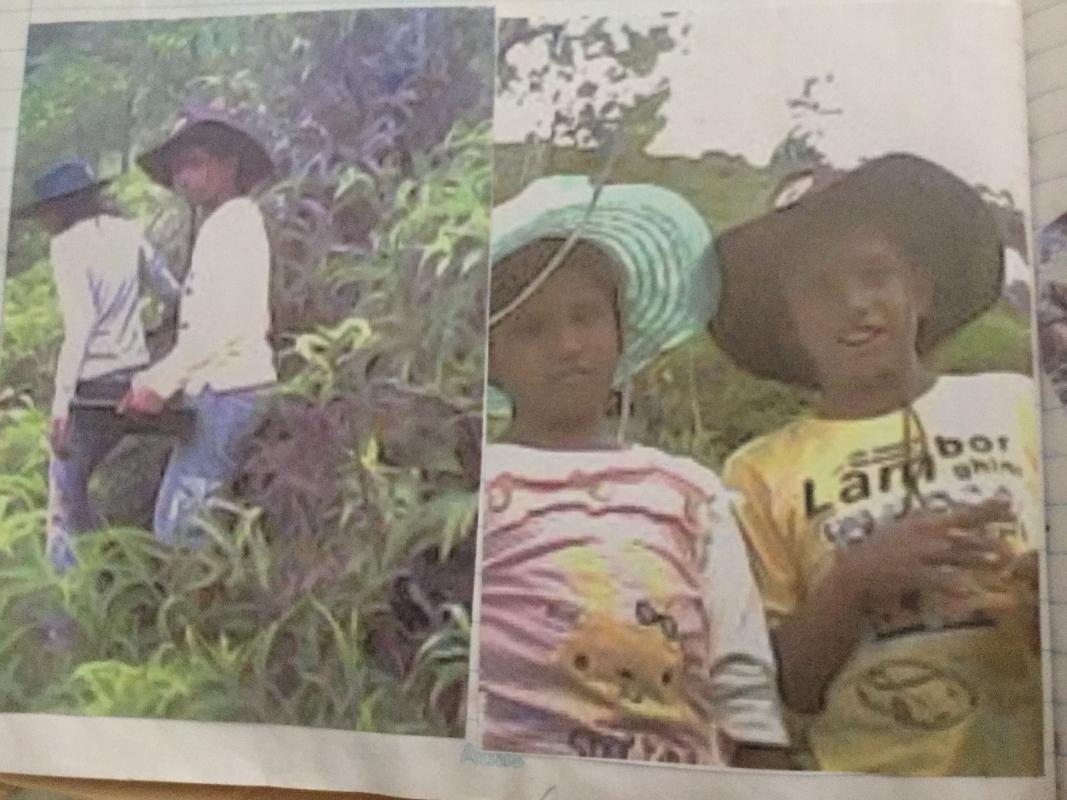 Kahagalla reforestation project