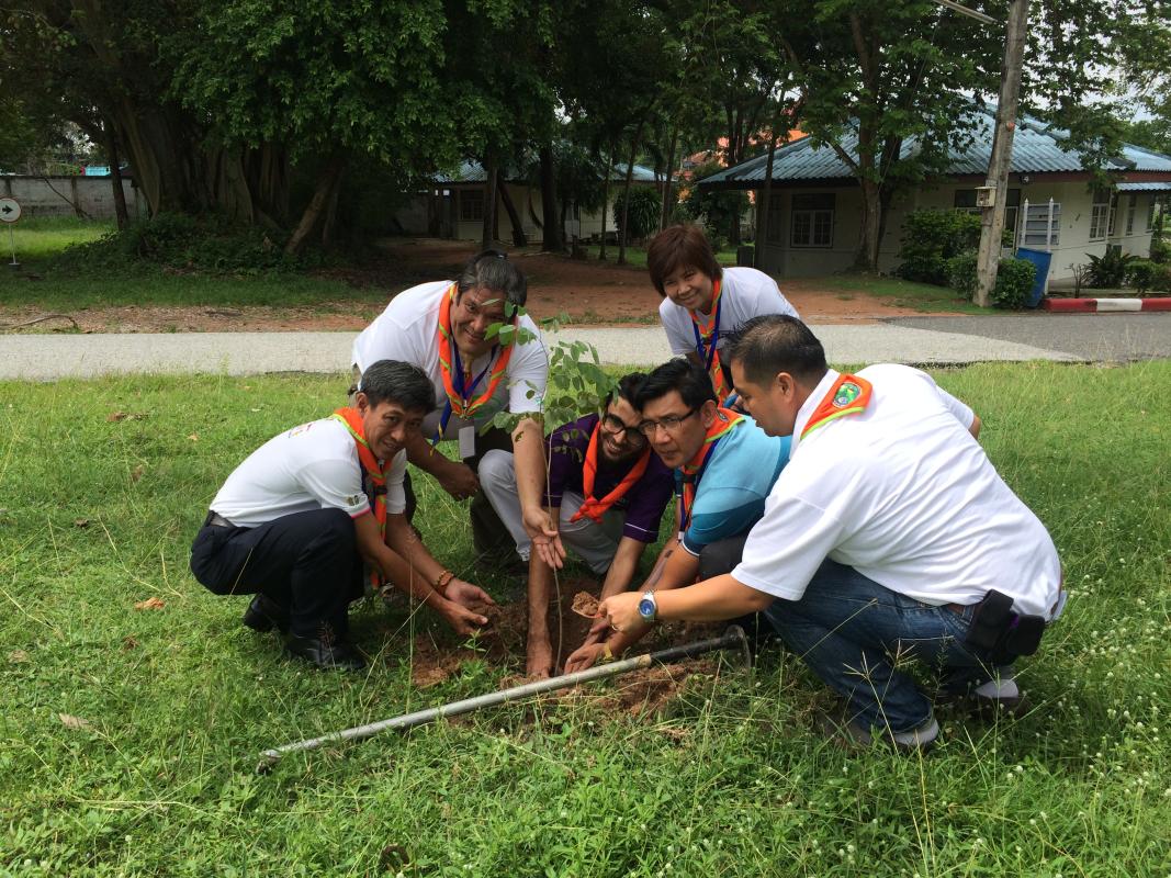 World Peace day tree planting 