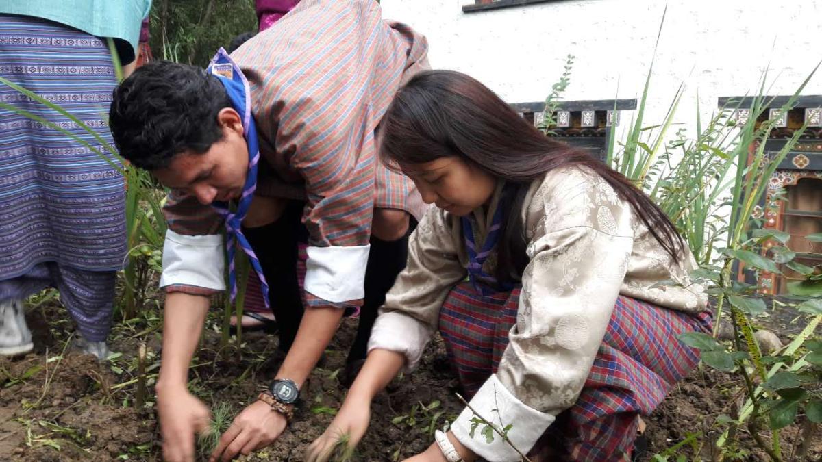 Tree plantation for peace