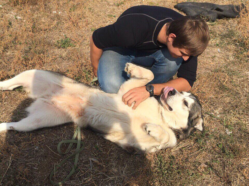 World Animal Day