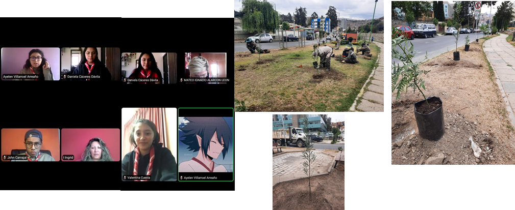 GSA-Proyecto Ali Pacha