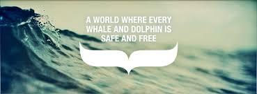 Dolphin & Whale Protection Campaign in Social Media