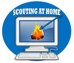 Attend 15th Virtual meeting of BSGHP 