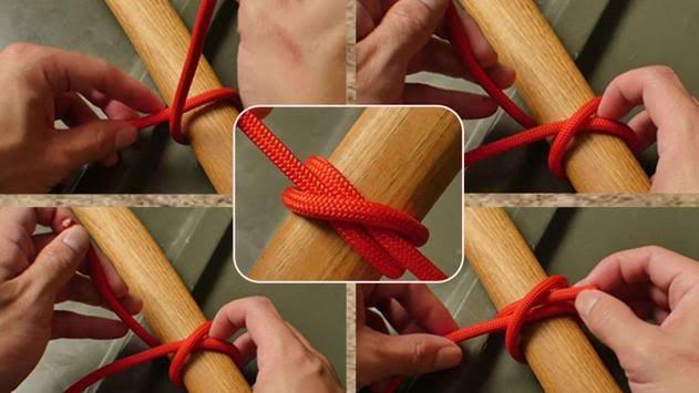 My Mini Pioneering Project 