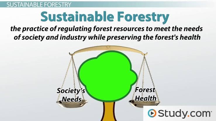 #ENVIRONMENT AND SUSTAINABILITY 