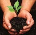 Saving our environment