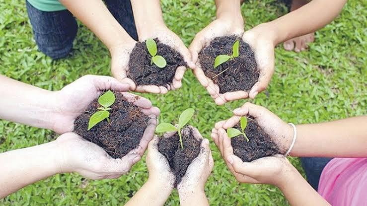 Inicio de la campaña Nacional Mi arbol en Cochabamba- Arboles para el mundo