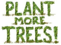 A MILLION TREE PROJECT