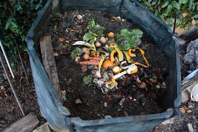 "La otra vida de tu basura"