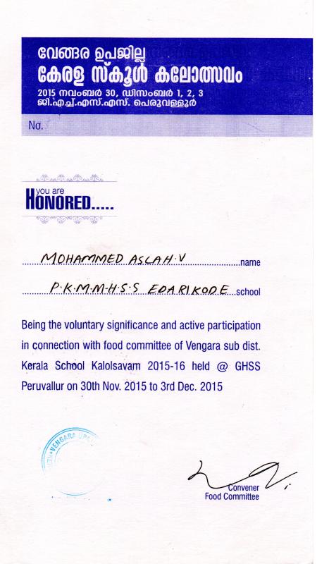 Service as Volunteer in School Arts Festival - 2015