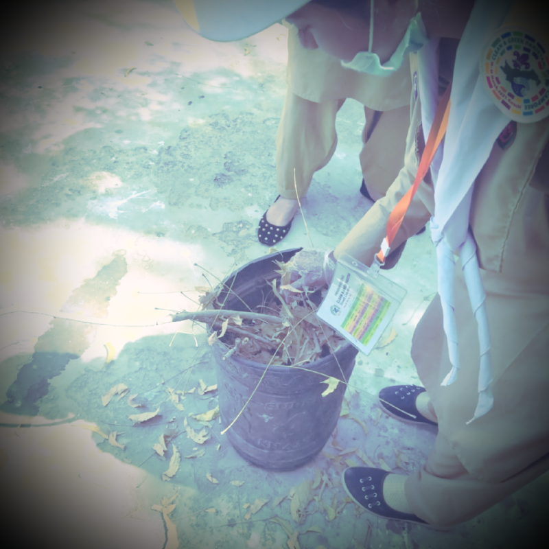 Clean and green pakistan 