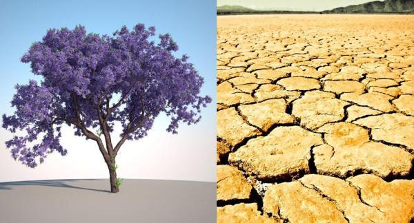 Aprendo a cuidar el planeta