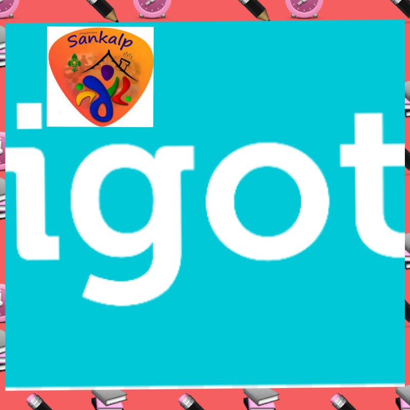 D] Digital Scouting Guiding. Challenge 5-#Government Initiatives.