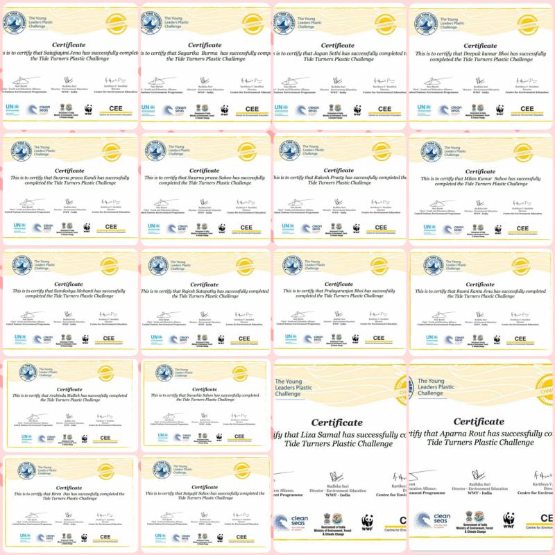 The Tide Turners Plastic Challenge