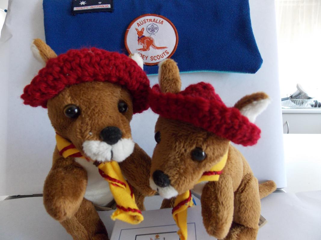 Joey Scouts/Beaver Scouts communicate through the sharing of experiences