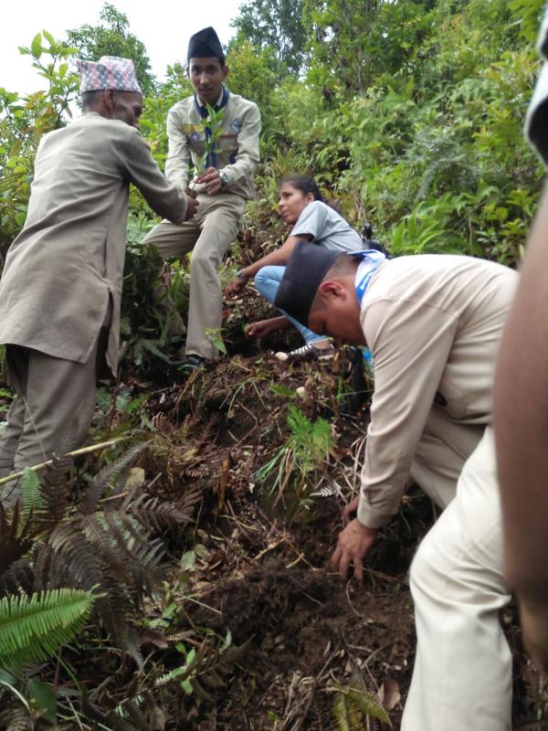 Afforestation Programme On The Occasion Of Golden Jubilee Celebration Of Lalitpur DHQ.