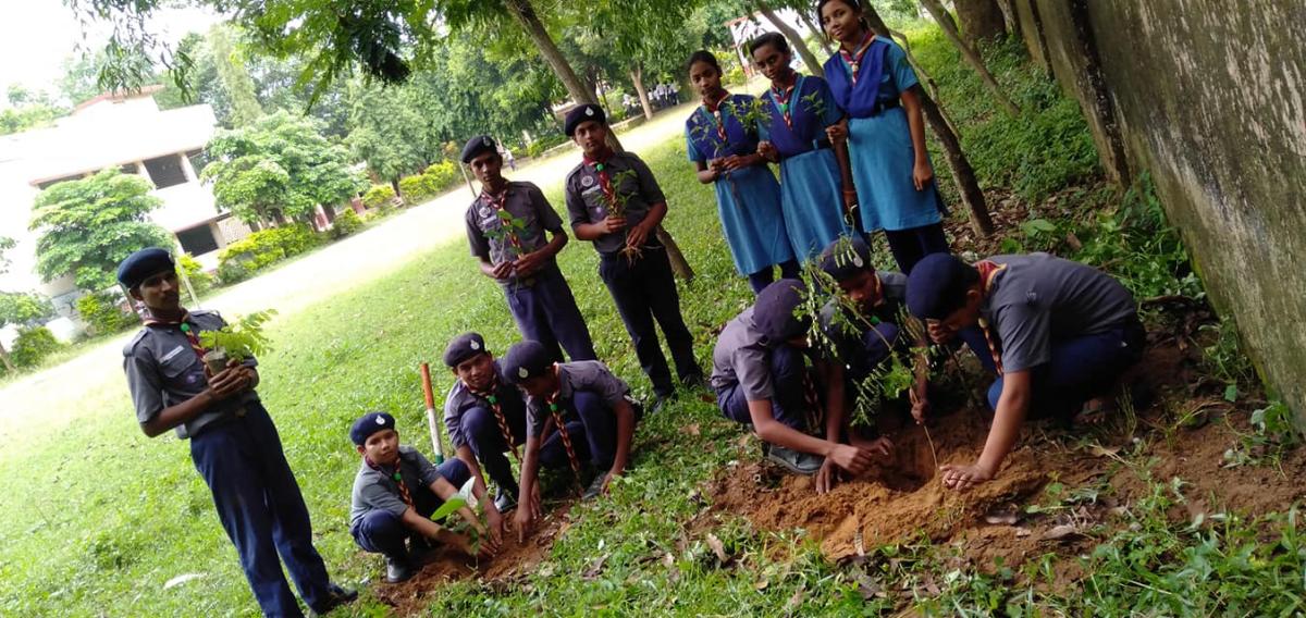 plants a tree plants a hope#5