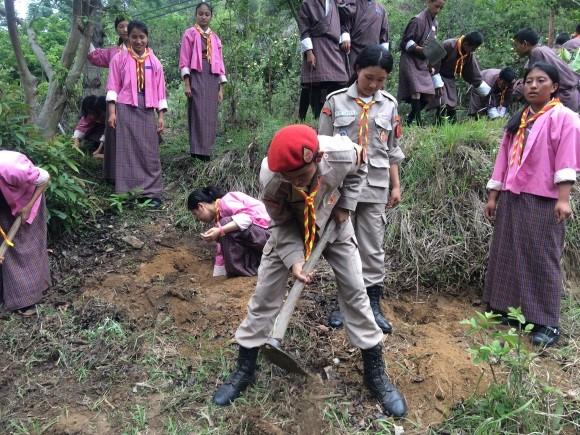 Plantation to mark Social Forestry Day