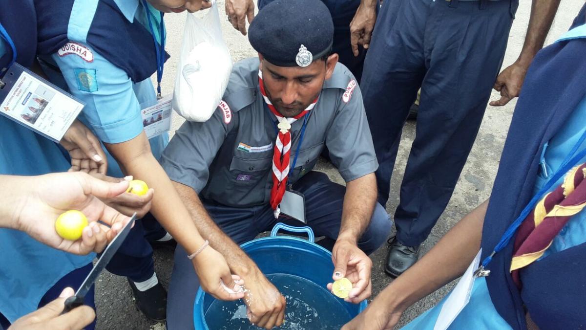 Lemon Water Distribution 