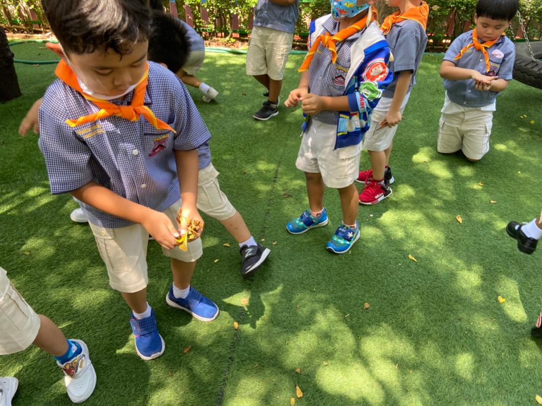 กิจกรรมเก็บขยะ