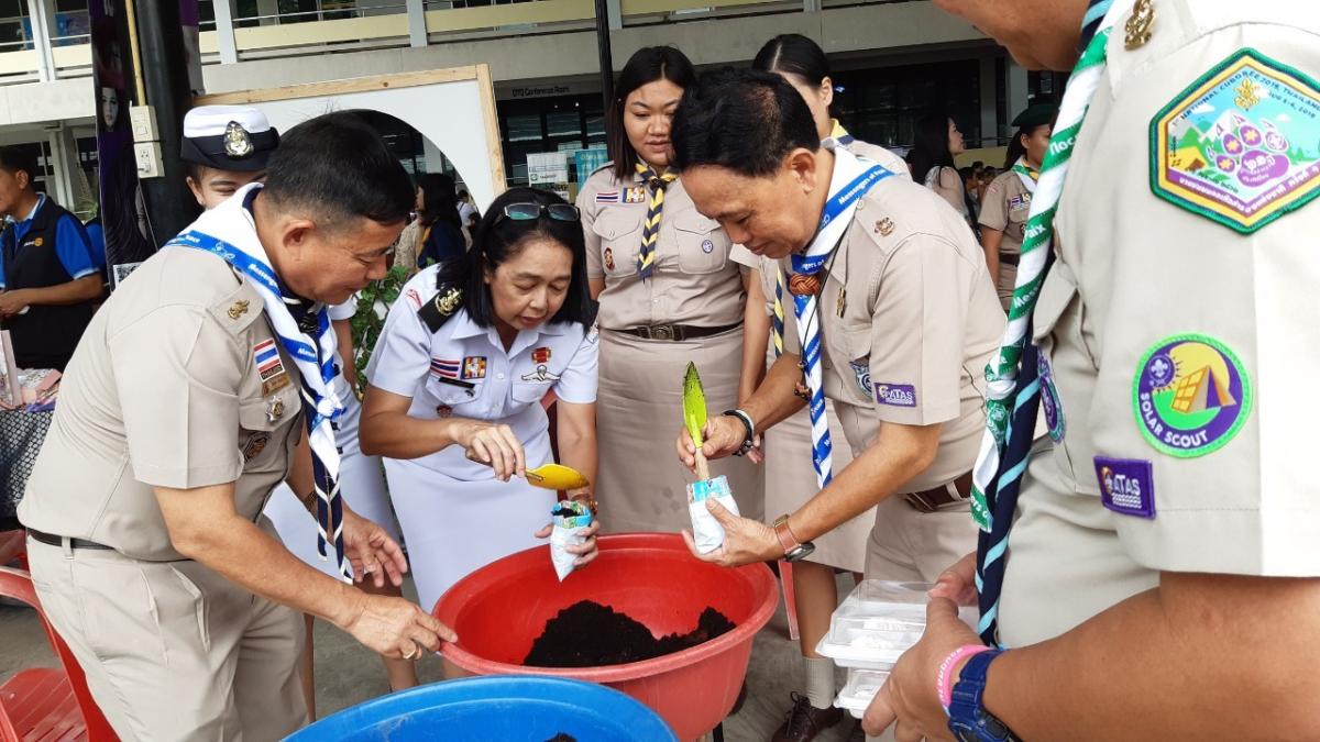  ปลูกดาวเรืองจากถุงนม